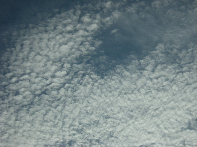 �������̖݂�