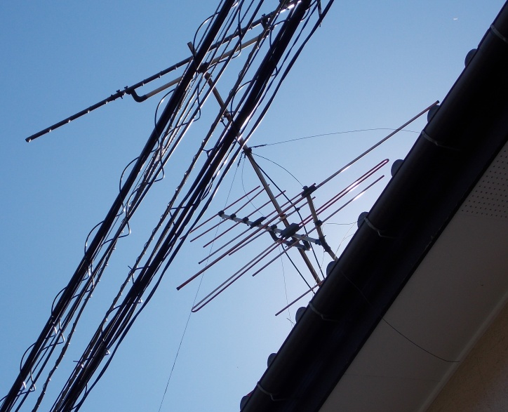 �������̖݂�