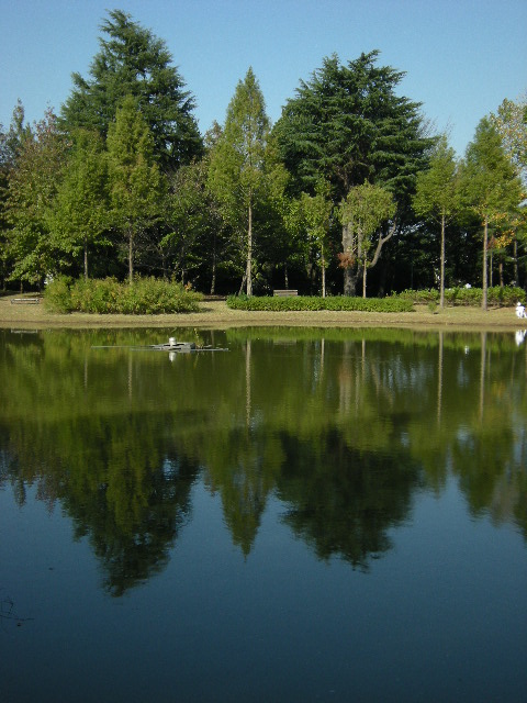 �������̖݂�