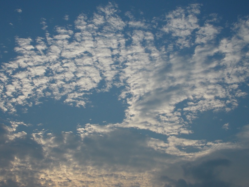 �������̖݂�