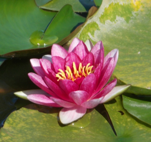 �������̖݂�