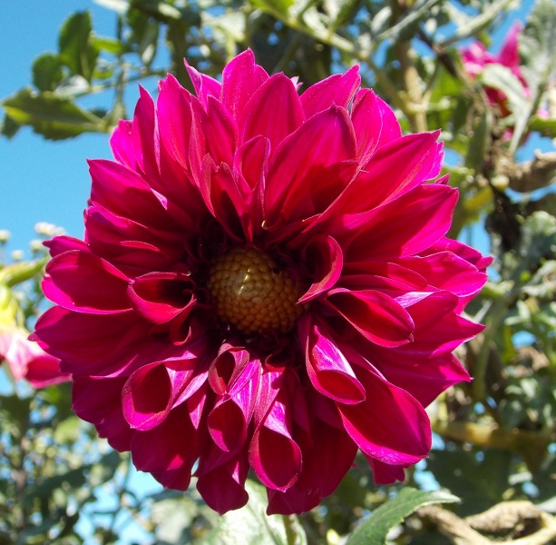 �������̖݂�