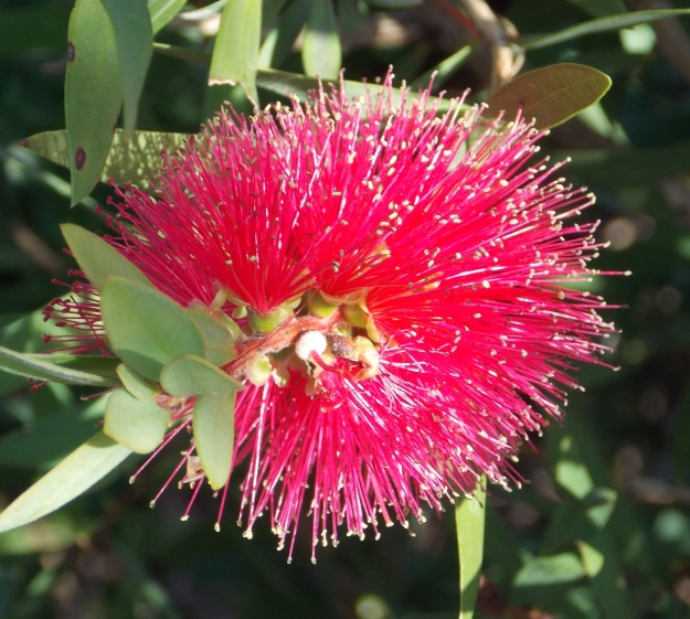 �������̖݂�