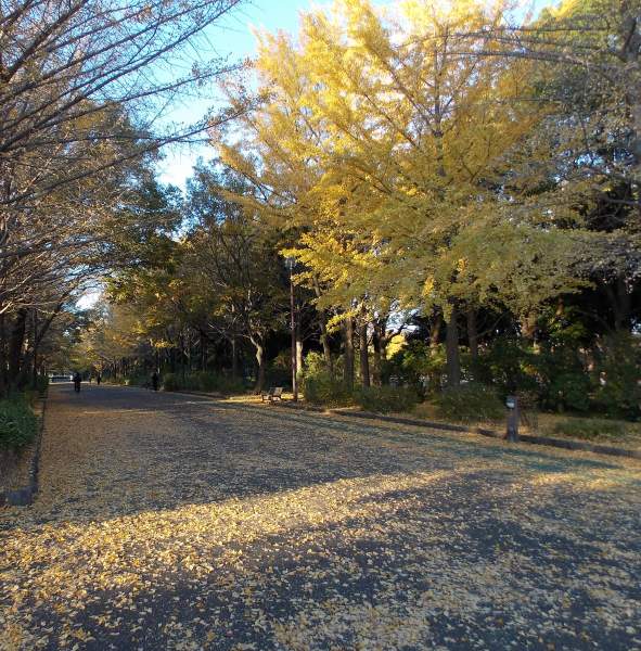 �������̖݂�