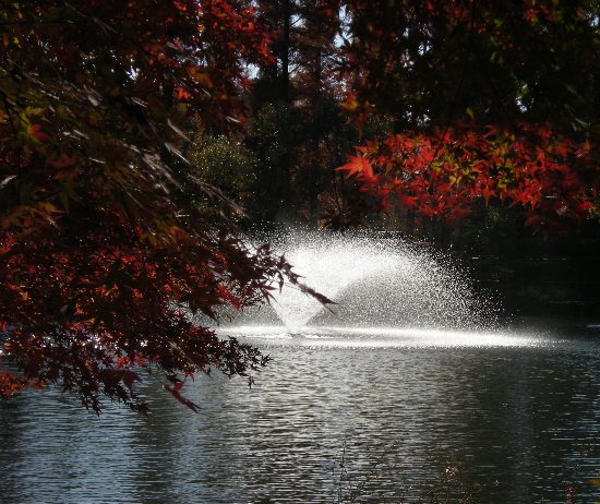 �������̖݂�