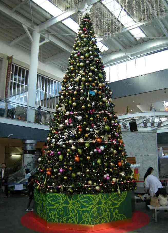 �������̖݂�