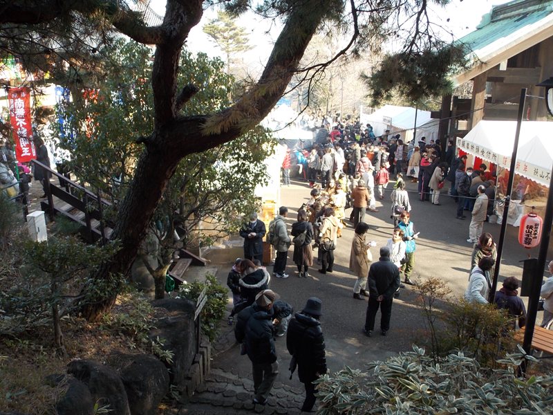 �������̖݂�