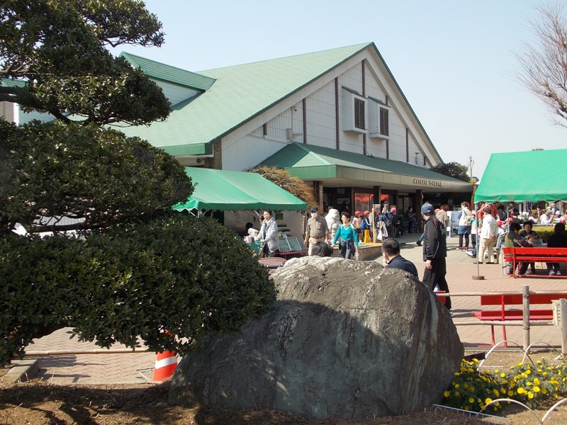 �������̖݂�