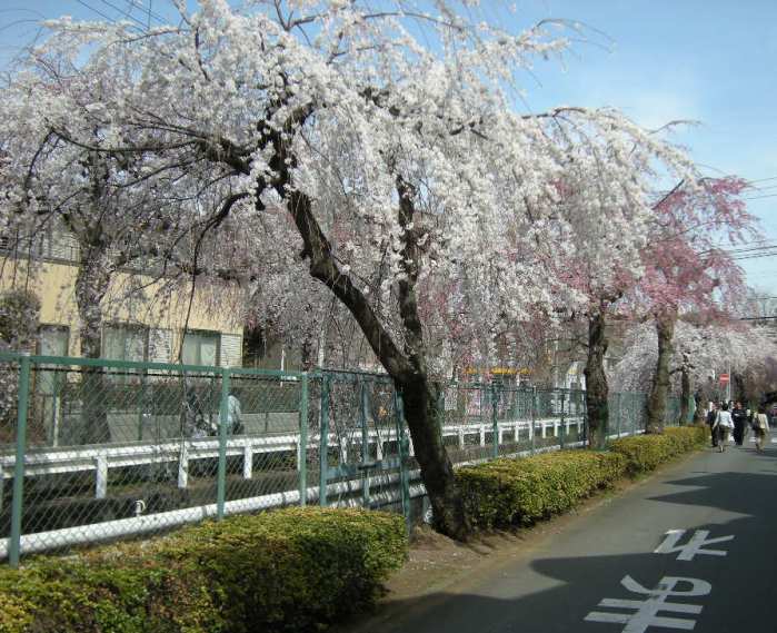 �������̖݂�