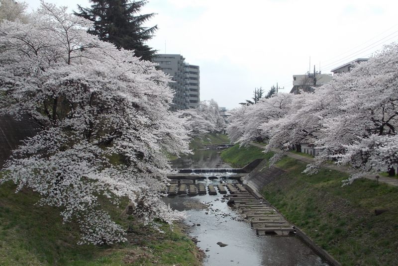 �������̖݂�