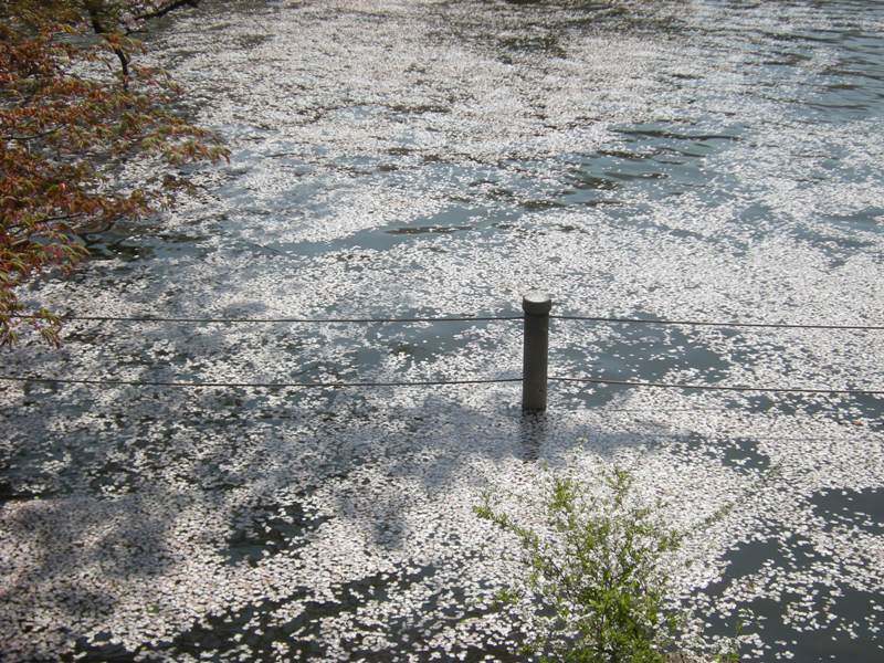 �������̖݂�