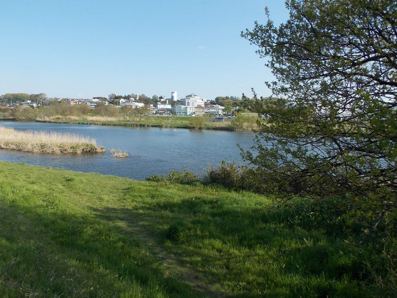 �������̖݂�