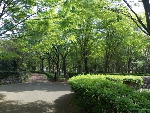 �������̖݂�