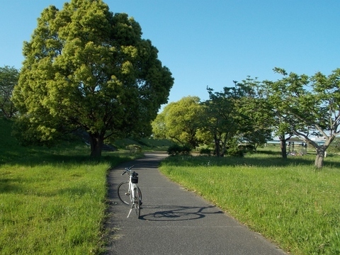 �������̖݂�