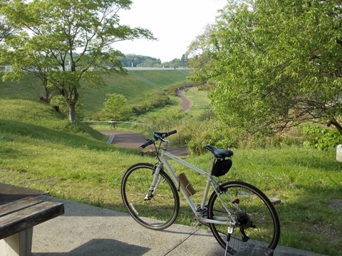 �������̖݂�