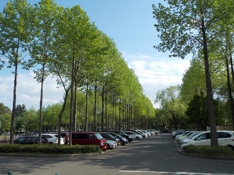 �������̖݂�