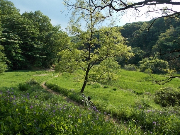 �������̖݂�