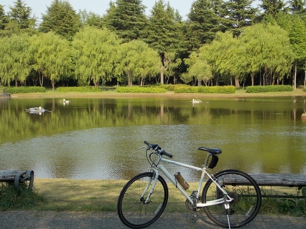 �������̖݂�