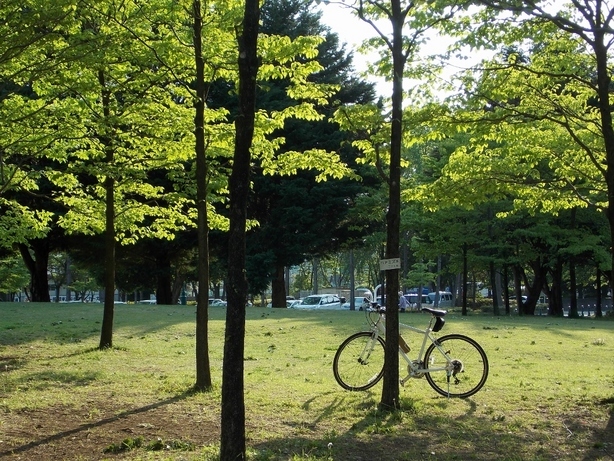 �������̖݂�