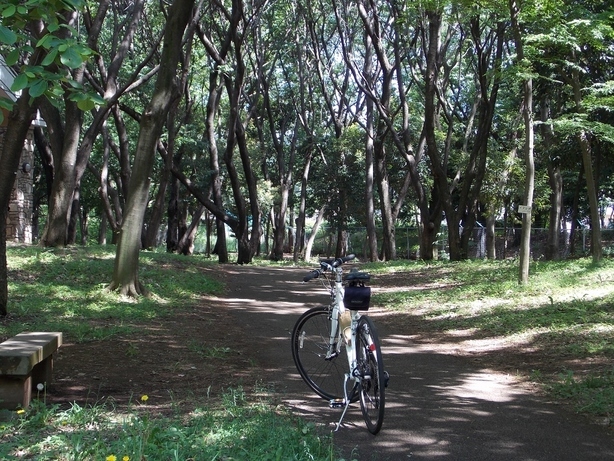 �������̖݂�