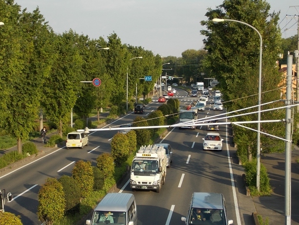 �������̖݂�