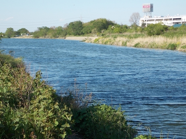 �������̖݂�