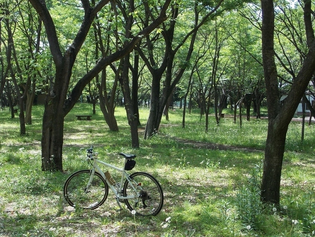 �������̖݂�