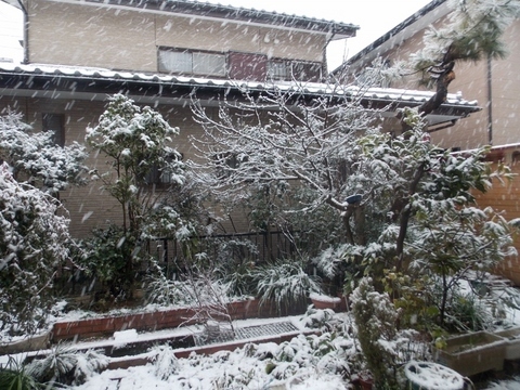 �������̖݂�