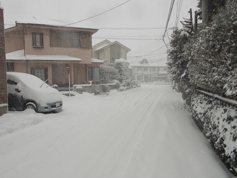 �������̖݂�