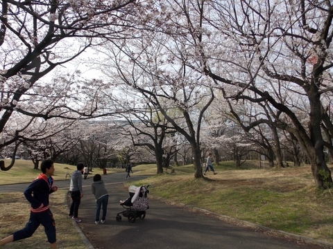 �������̖݂�