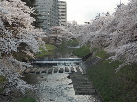 �������̖݂�