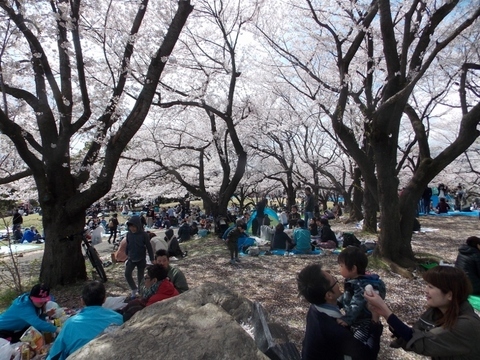 �������̖݂�