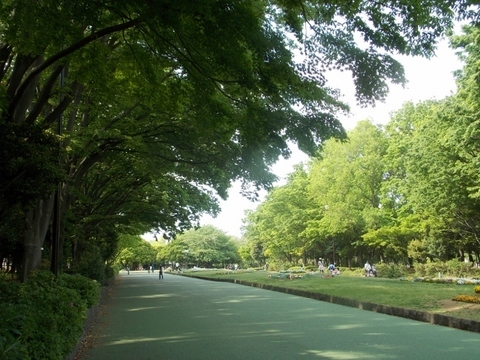 �������̖݂�