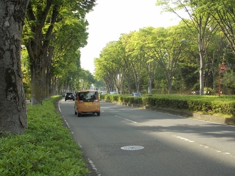 �������̖݂�