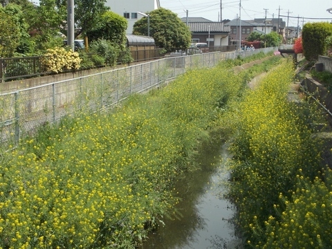 �������̖݂�