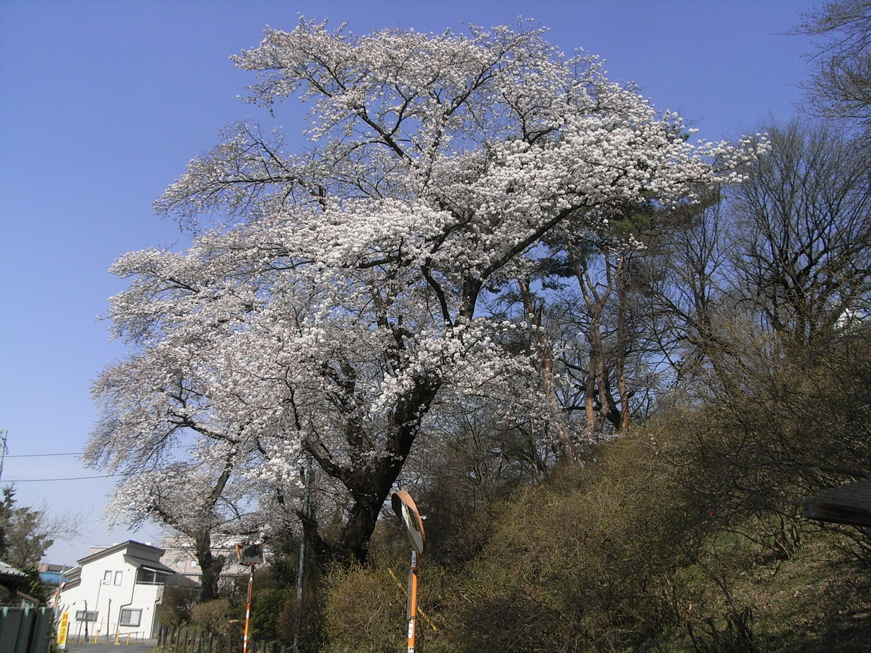 �������̖݂�