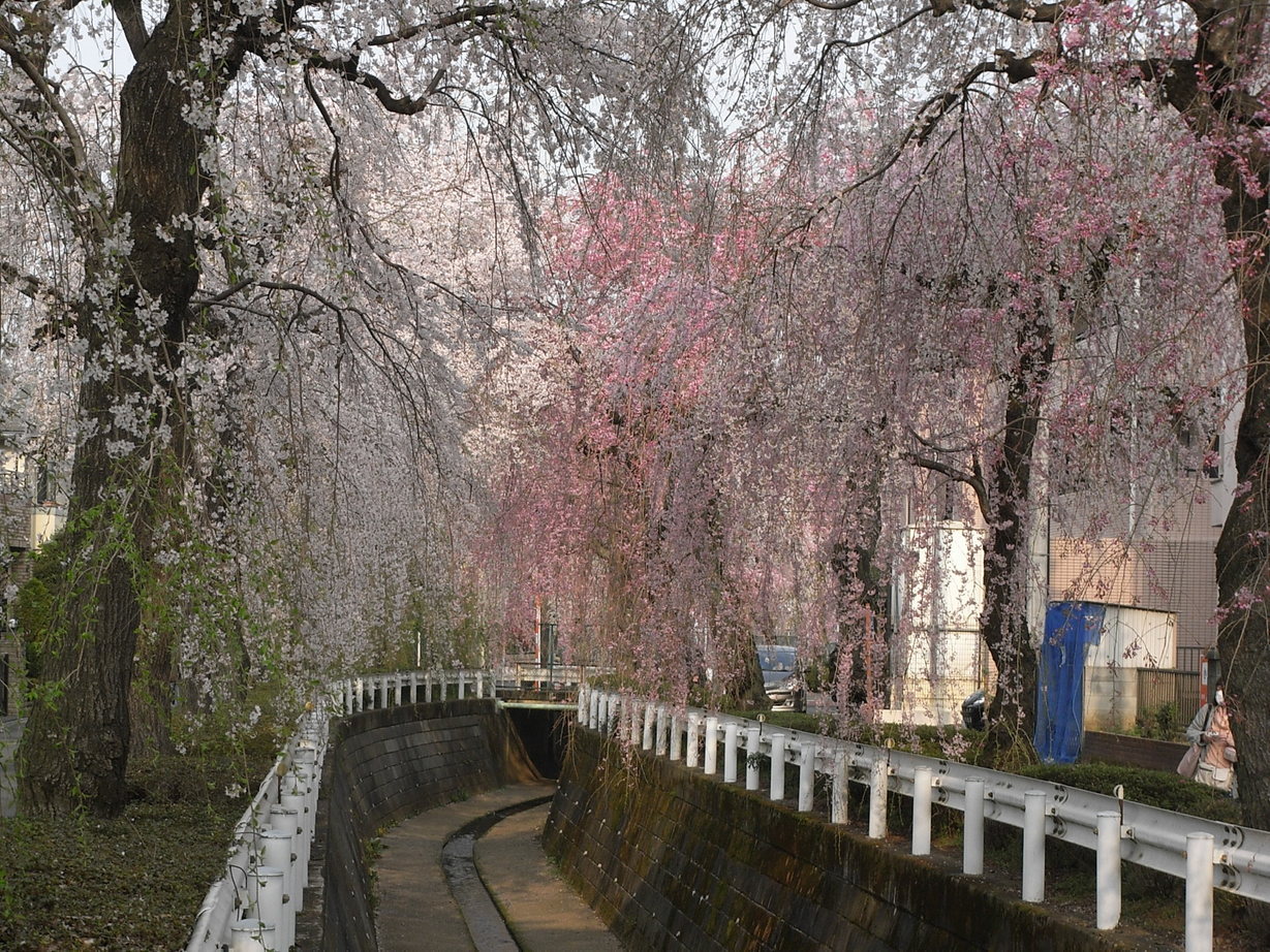 �������̖݂�