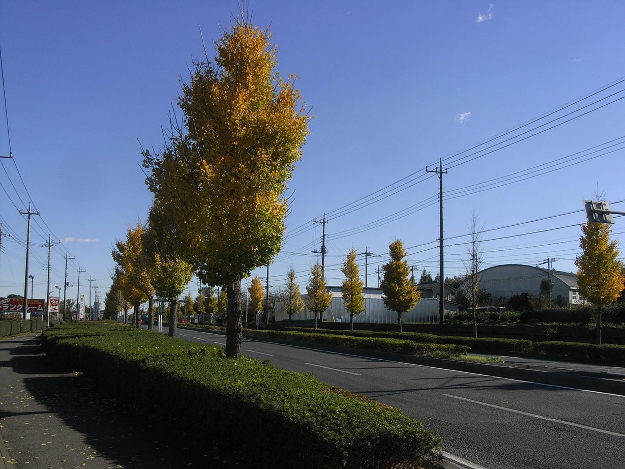 �������̖݂�