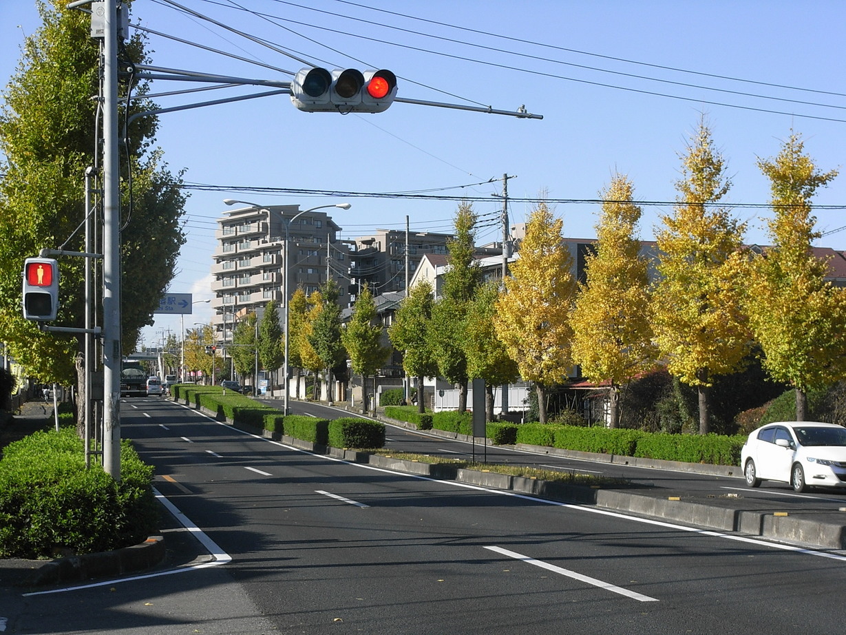 �������̖݂�