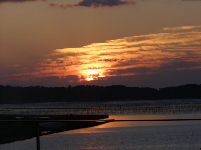 �悤�����i�Ƃ�j�̃y�[�W��