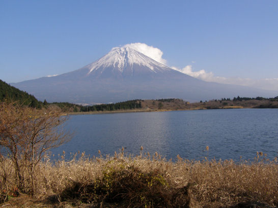 �悤�����i�Ƃ�j�̃y�[�W��