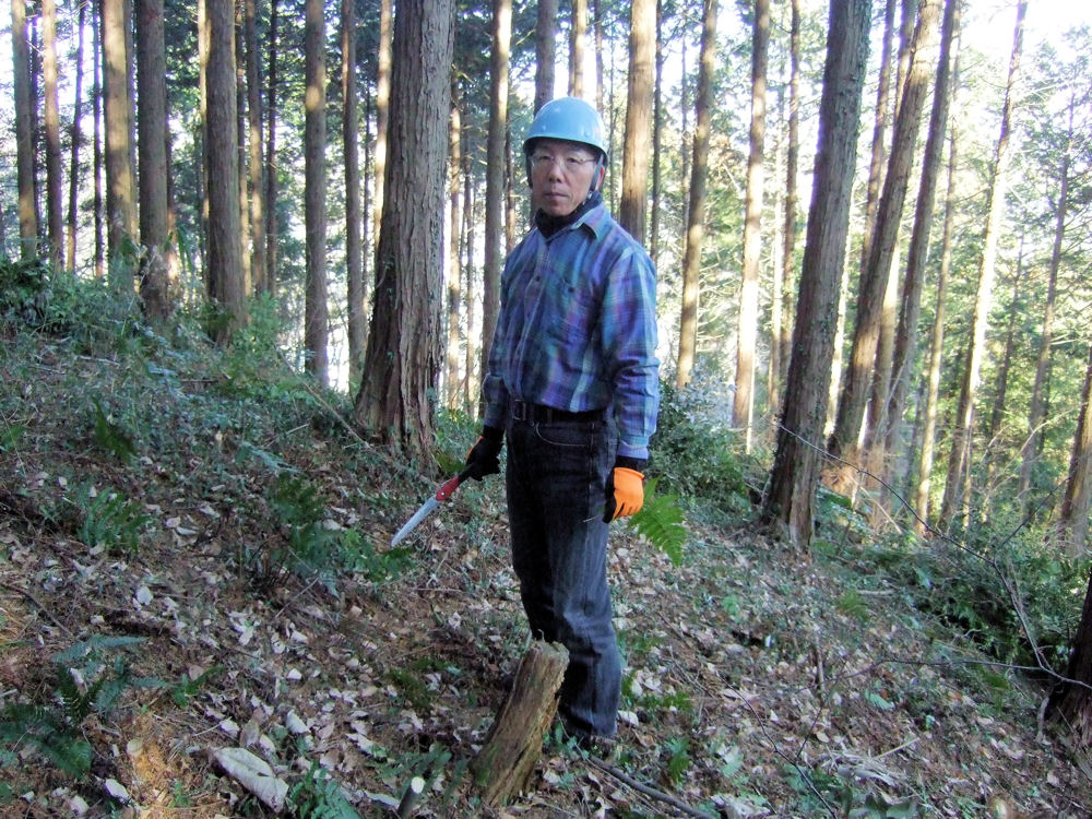 �����u�˂ǂ񂮂�̉�