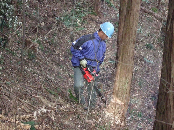 �����u�˂ǂ񂮂�̉�