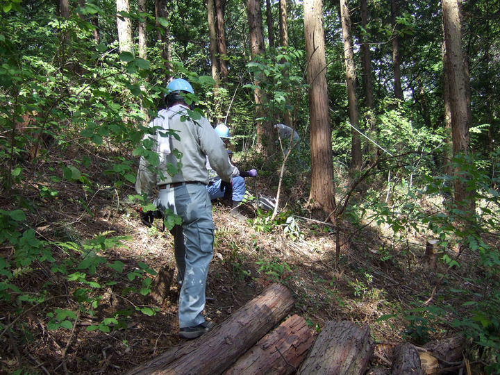 �����u�˂ǂ񂮂�̉�