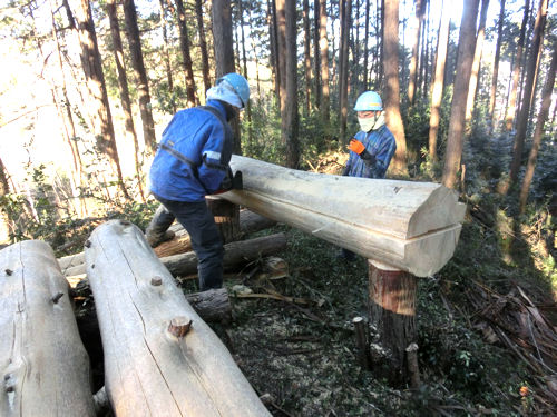 �����u�˂ǂ񂮂�̉�