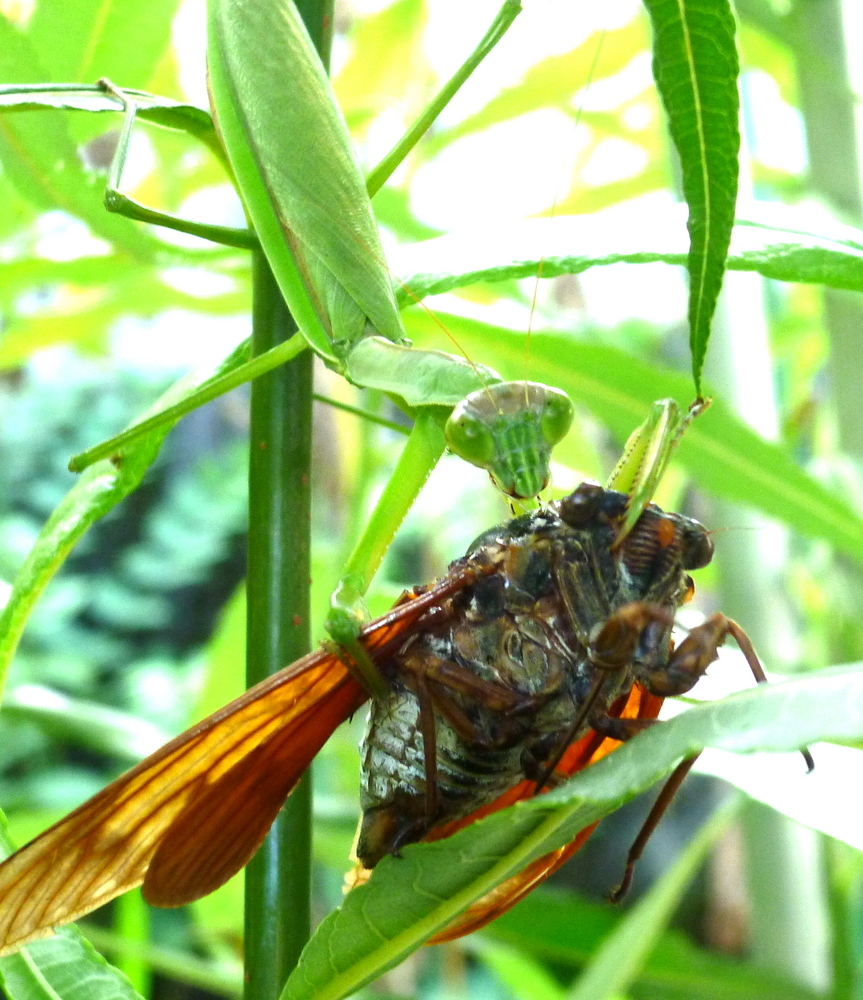 �y�V�эH�[�@�y��