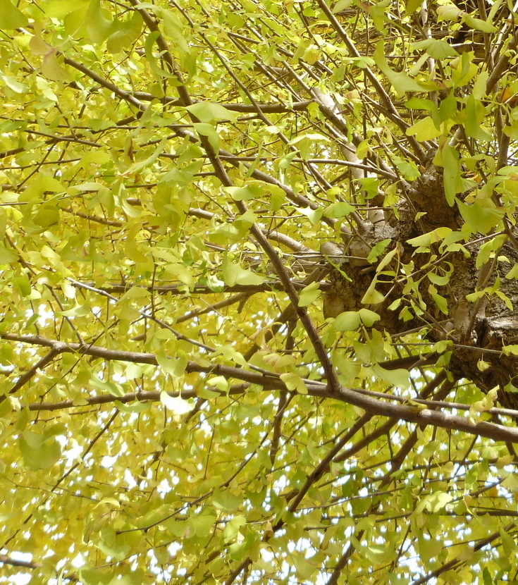 �y�V�эH�[�@�y��