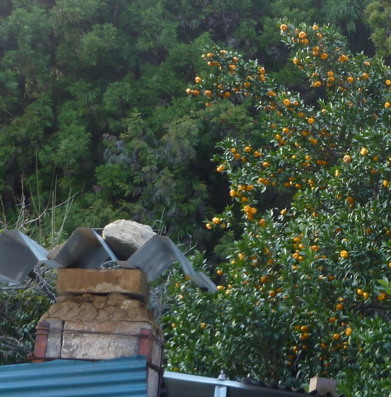 �y�V�эH�[�@�y��