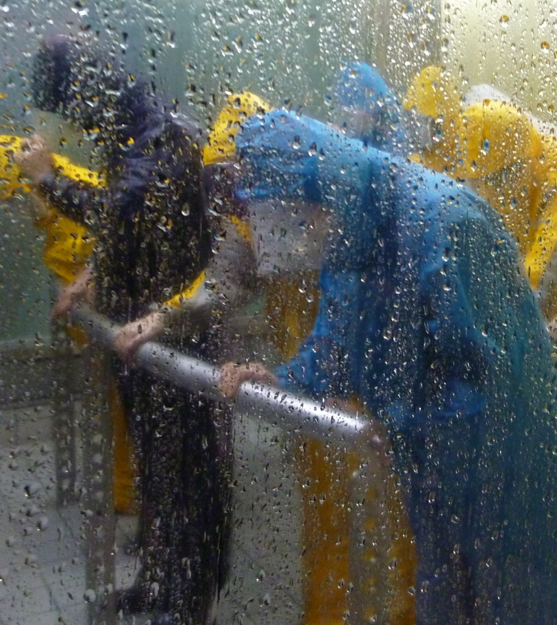 �y�V�эH�[�@�y��