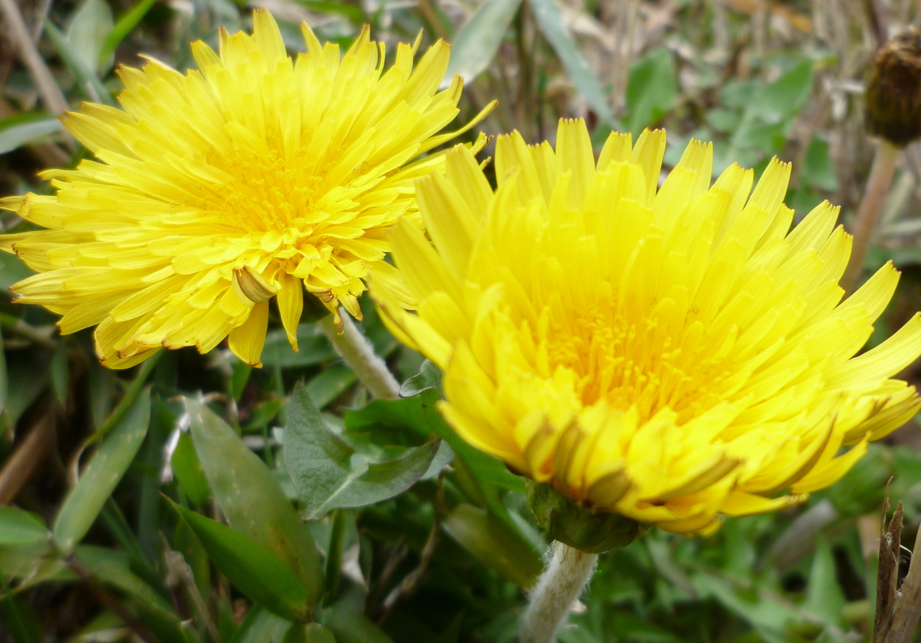 �y�V�эH�[�@�y��